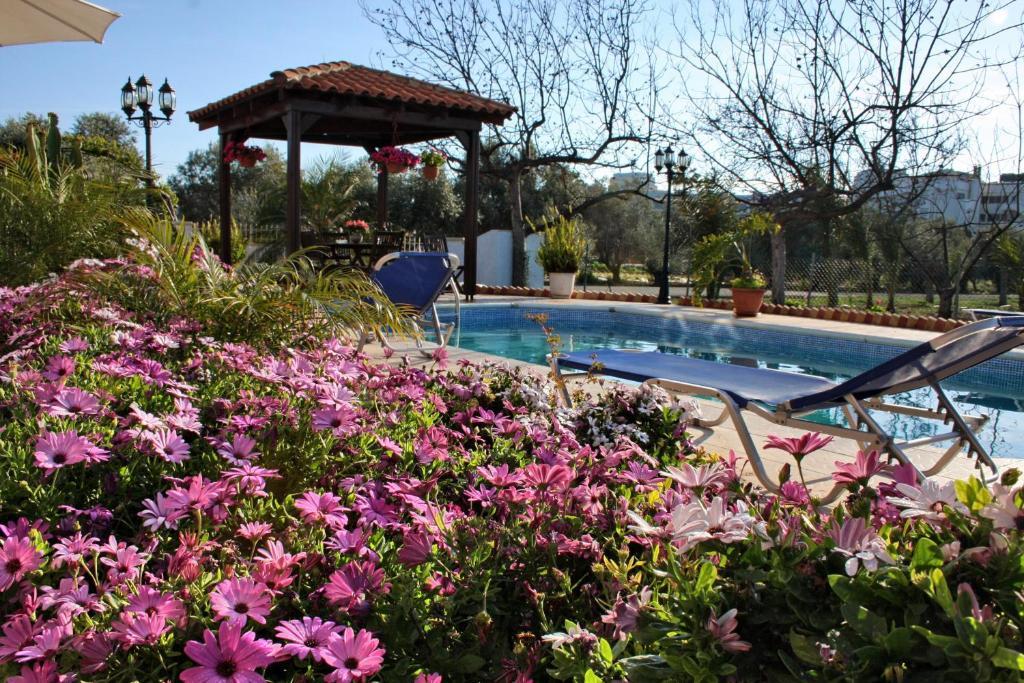 Villa Paradise Paphos Room photo